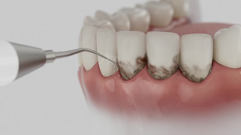 Reliable Dental contractor in Forsyth County County, NC by Dentist Open Now